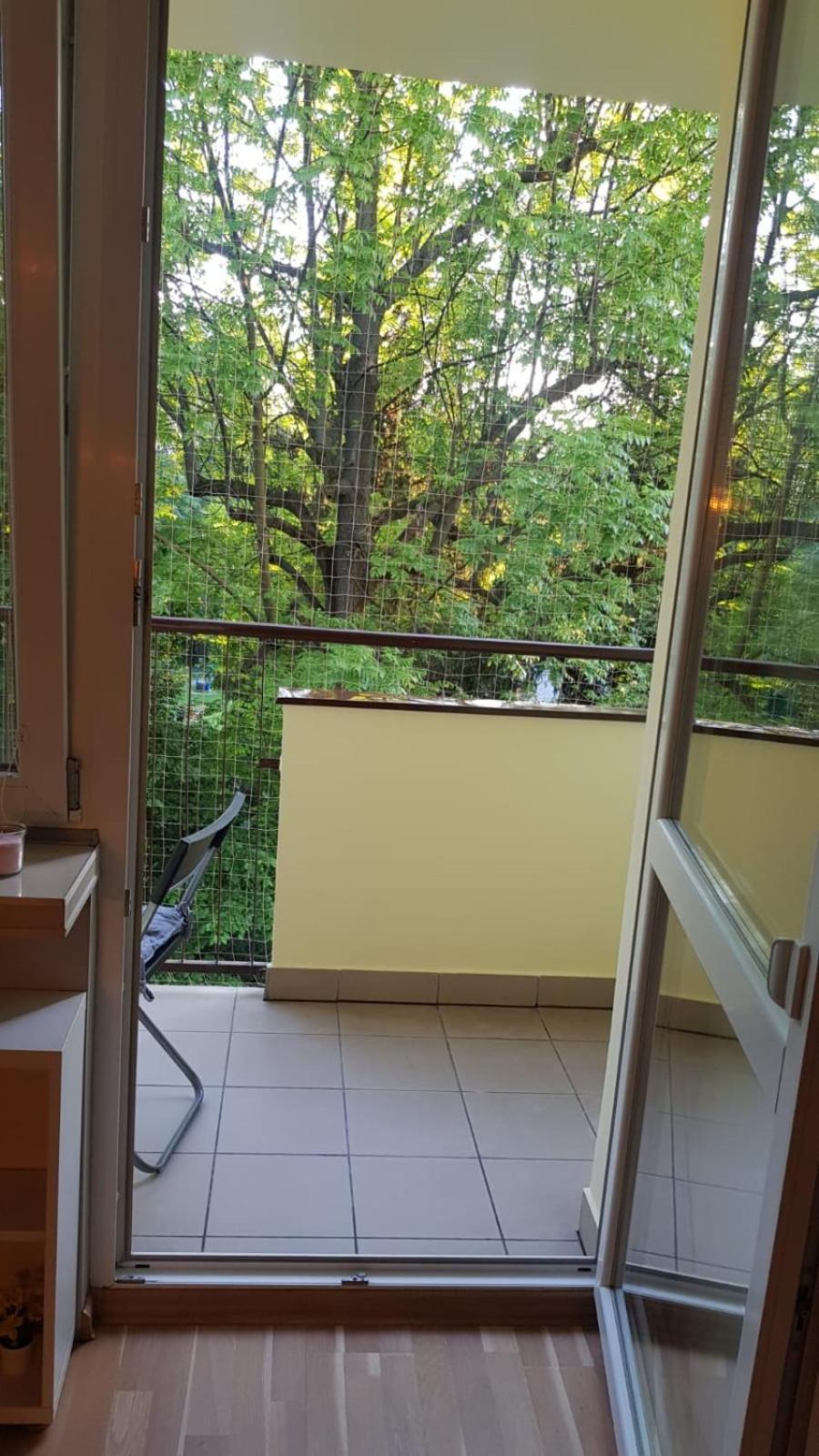 Olsza Krakau